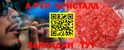 соль ск Сланцы