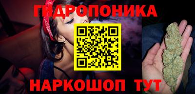 СК Севастополь