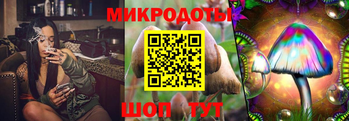 Галлюциногенные грибы Cubensis Прохладный