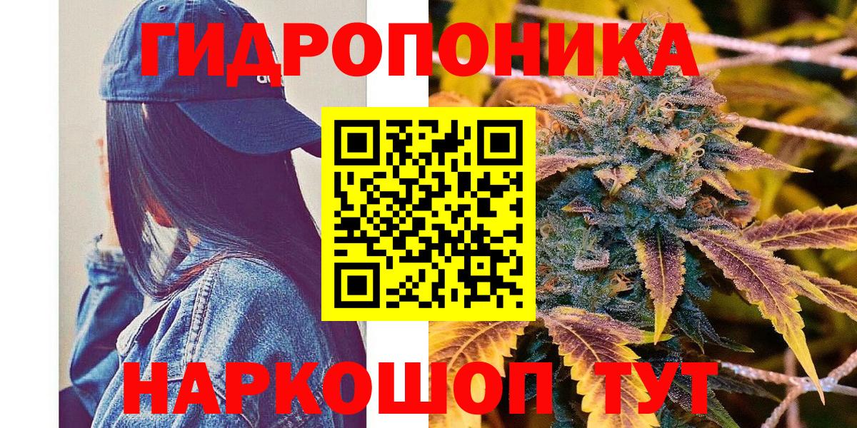 Прохладный  Канабис VHQ  Вход с VPN  МАРИХУАНА семена  Каннабис семена 